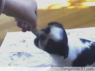 碎心剑
